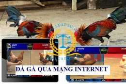 ảnh chụp màn hình đá gà trực tiếp xổ số