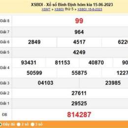 dự đoán xổ số bình định vina24h