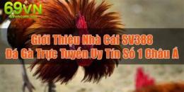 giao diện app đá gà trực tiếp xổ số