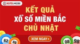giao diện app dự đoán xổ số miền bắc chủ nhật