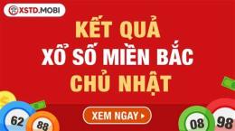 giao diện app dự đoán xổ số mobi miền bắc
