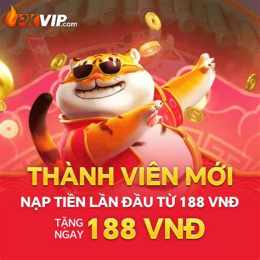 giao diện app dự đoán xổ số thần tài miền bắc minh ngọc
