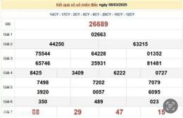 giao diện app kết quả xổ số 4 nét