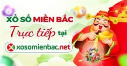 giao diện app ket qua xo so 90 ngay