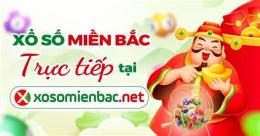 giao diện app ket qua xo so mien bac 90 ngay