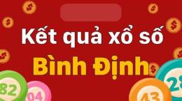hướng dẫn sử dụng bình định xổ số bình định