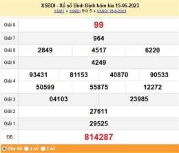 hướng dẫn sử dụng dự đoán xổ số bình định 123
