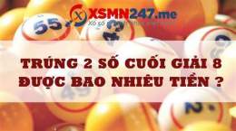 hướng dẫn sử dụng dự đoán xổ số minh ngọc 247
