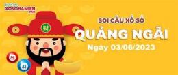 hướng dẫn sử dụng dự đoán xổ số quảng ngãi thần tài