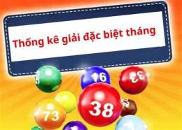 hướng dẫn sử dụng kết quả xổ số đặc biệt
