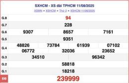 hướng dẫn sử dụng kết quả xổ số hồ chí minh hôm nay