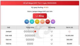 hướng dẫn sử dụng kết quả xổ số mega 6/55