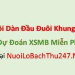 nuôi chạm đầu đuôi xổ số miền bắc khung 3 ngày
