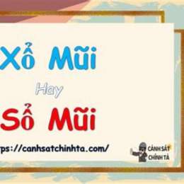 sổ mũi hay xổ mũi