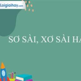 sơ sài hay xơ xài