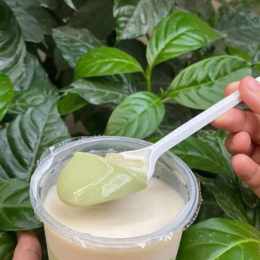 sổ xố đại phát .com