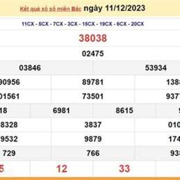 soi cầu xổ số rồng bạch kim