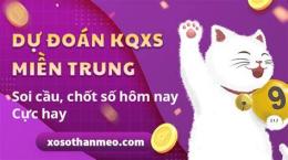 tính năng nổi bật dự đoán xổ số thần mèo
