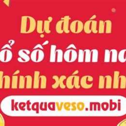 wap du doan xo so