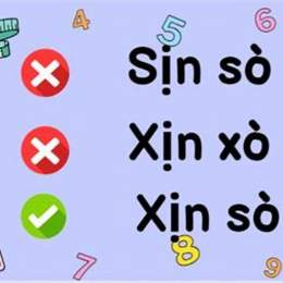 xịn sò hay sịn xò