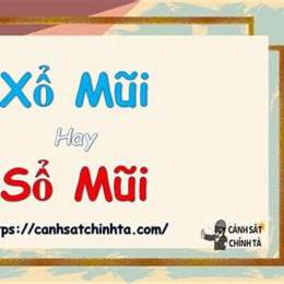 xổ mũi hay sổ mũi