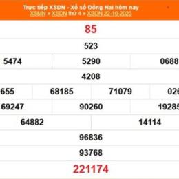 xổ số đồng nai 19 tháng 11