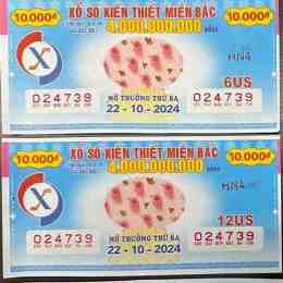 xổ số thủ đô 200 ngày