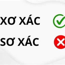 xơ xác hay sơ xác