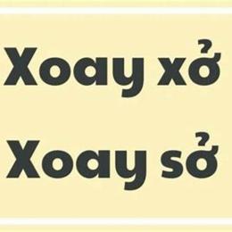 xoay sở hay xoay xở
